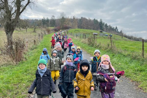 42688A73-91F2-4217-A341-CC2E685EB631