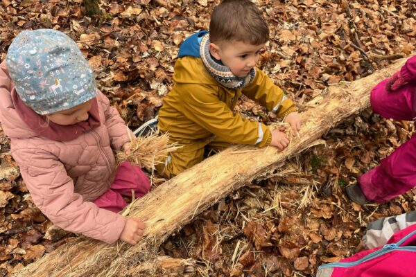 49B8D73A-1B35-41F6-BB4C-34C69FF21A44