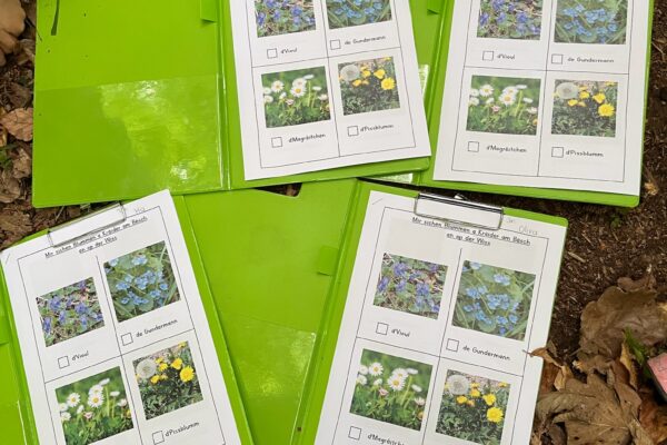 6ED364D7-B632-4BC5-BE05-11B9974FCE3E